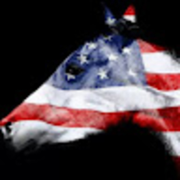 Meet your Posher, Jamie - Picture 1 of 1